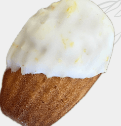 lemon poppyseed madeleine